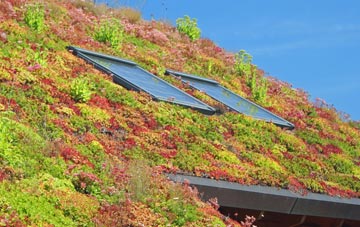 Lochinver living roof systems