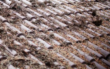 Lochinver roof cleaning companies